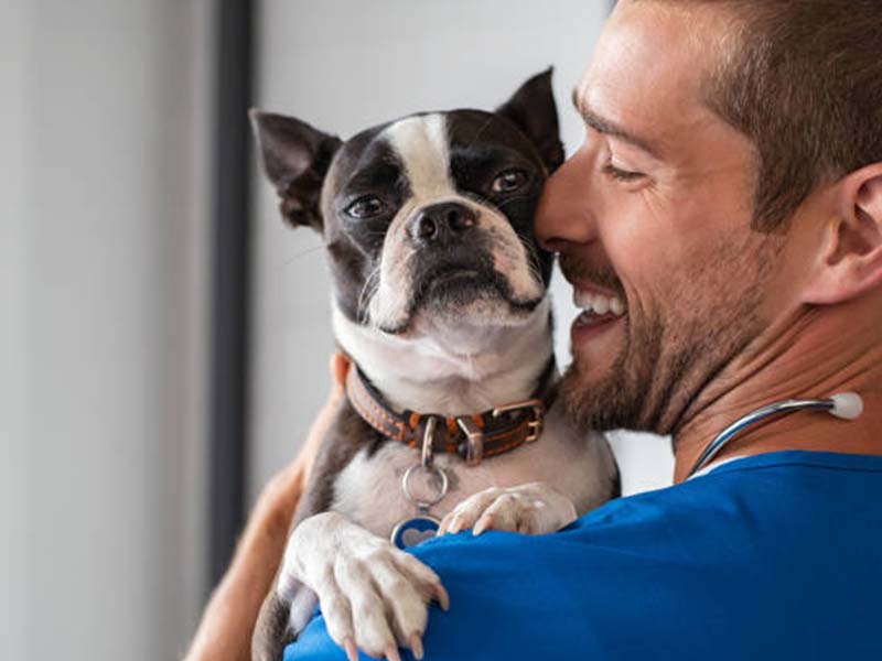 a veterinarian holding a dog