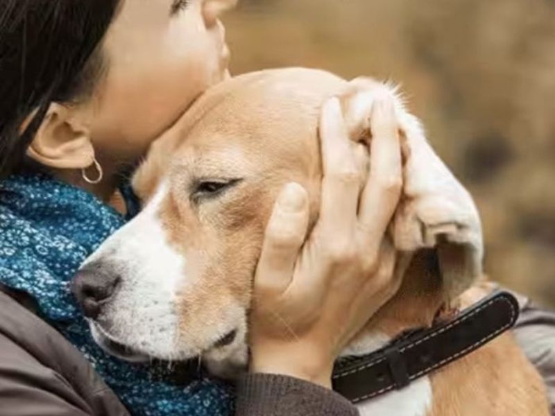 A woman hugging a dog